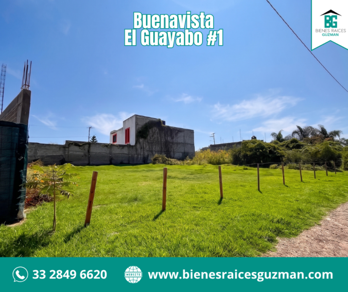 Buenavista, Tlajomulco de Zúñiga, Jalisco