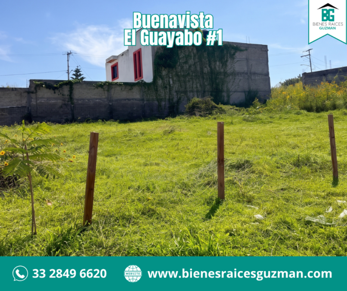 Buenavista, Tlajomulco de Zúñiga, Jalisco